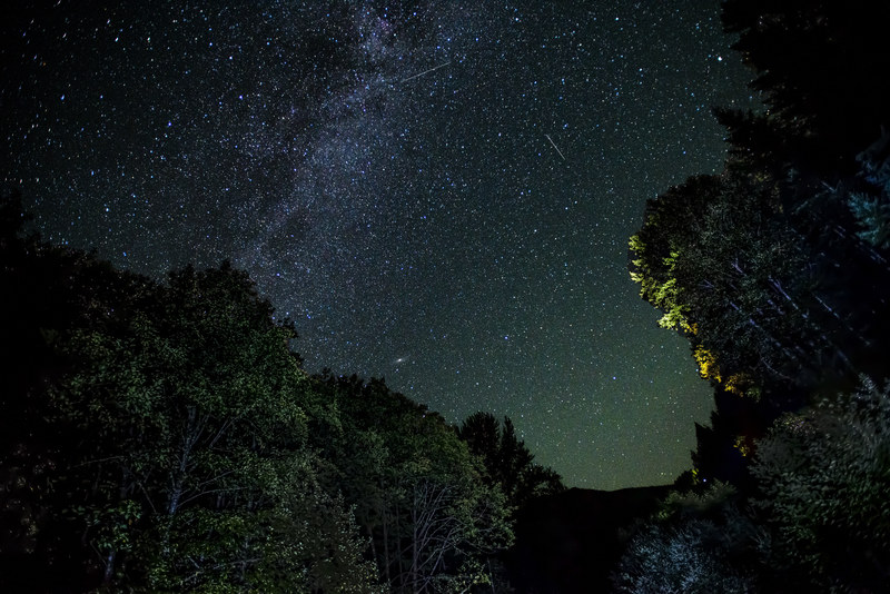 Milky Way arching over dark conifer treeline with warm light touching the tree crowns